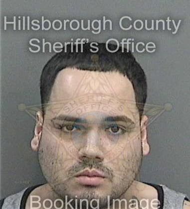 Raymond Vegaberrios, - Hillsborough County, FL 