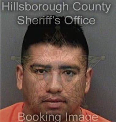 Robert Bellantonio, - Hillsborough County, FL 