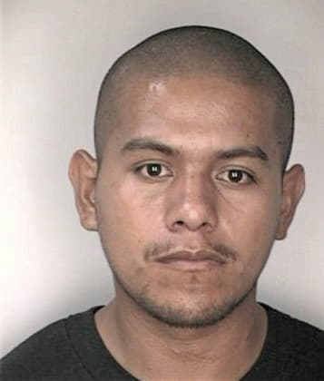 Zachary Bishoff - Hillsborough County, FL 