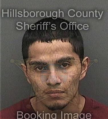 Stephen Frisco, - Hillsborough County, FL 