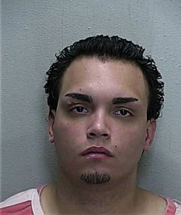 Luis Gutierrez-Perez, - Marion County, FL 