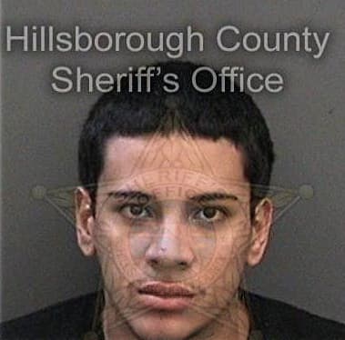 Pedro Rodriguez-Claudio, - Hillsborough County, FL 