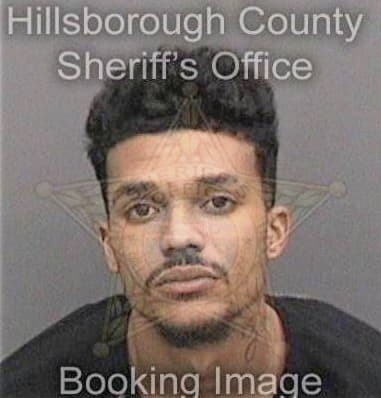 Ronald Young, - Hillsborough County, FL 