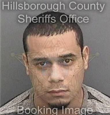 Matthew Gibson, - Hillsborough County, FL 