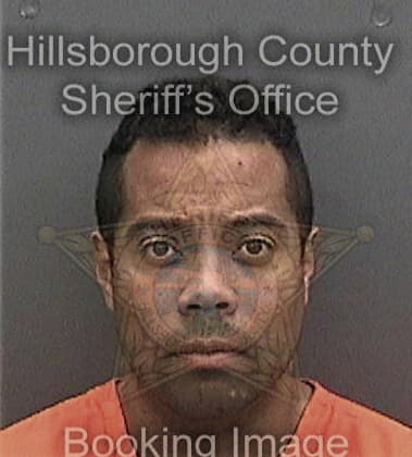Narciso Hernandez-Garcia - Hillsborough County, FL 