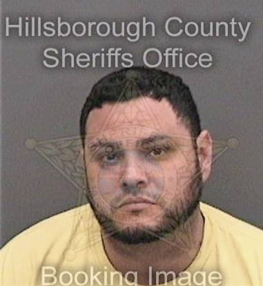 Sebastian Londono, - Hillsborough County, FL 