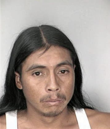 Isdro Mendezlorenzana - Hillsborough County, FL 