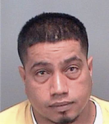 Phaynam Soundara - Pinellas County, FL 