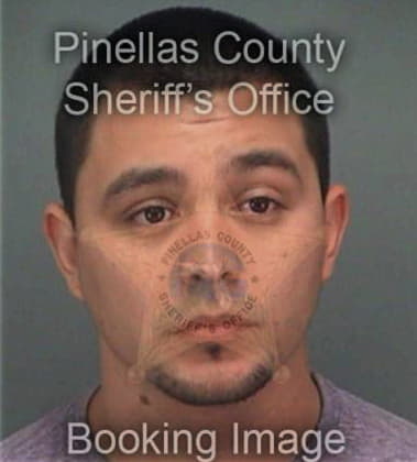 Juan Delatorre, - Pinellas County, FL 