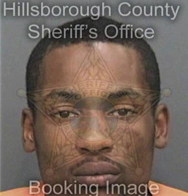 Anthony George, - Hillsborough County, FL 