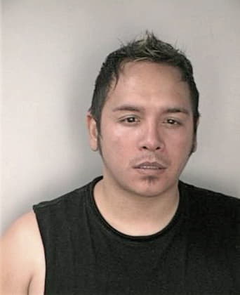 Nicolas Hernandezlopez - Hillsborough County, FL 