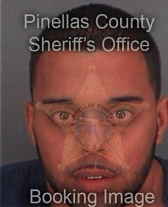 Dante Hinson, - Pinellas County, FL 