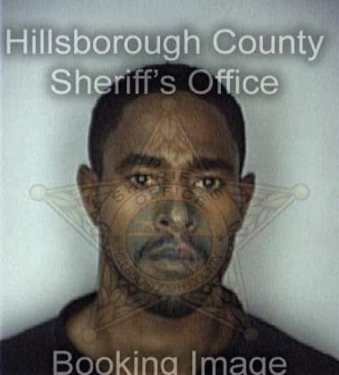 Anthony Mansfield, - Hillsborough County, FL 