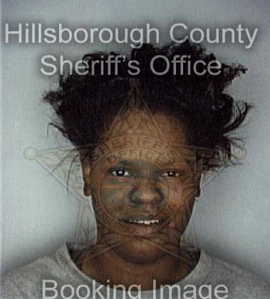 Tameka Robinson, - Hillsborough County, FL 