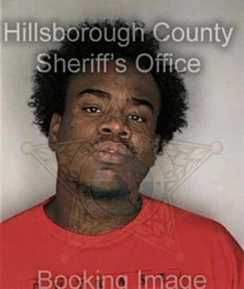 Terrance Wise, - Hillsborough County, FL 