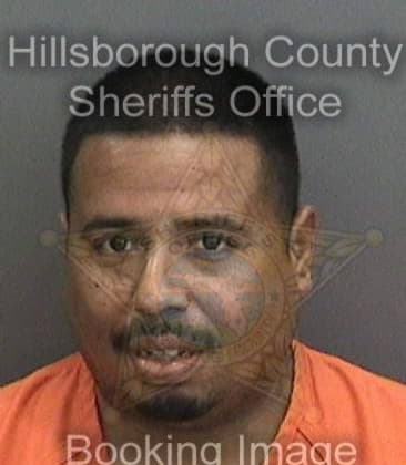 Steven Cross, - Hillsborough County, FL 