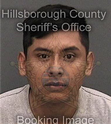 Robert Fallon, - Hillsborough County, FL 