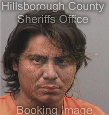 Oscar Garcia, - Hillsborough County, FL 