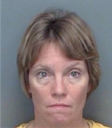 Lise Laburda, - Pinellas County, FL 