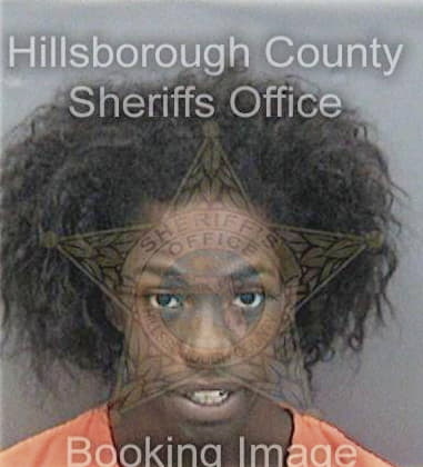 Deconte Meeksroberts - Hillsborough County, FL 