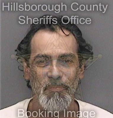 Leonel-De Raudales-Valasquez, - Hillsborough County, FL 