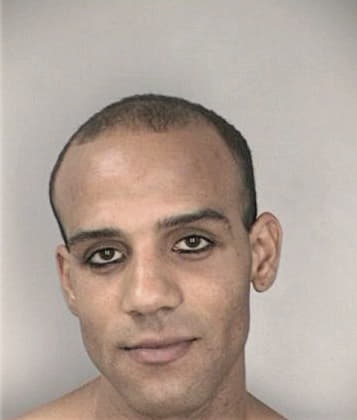 Ivan Hernandez - Hillsborough County, FL 