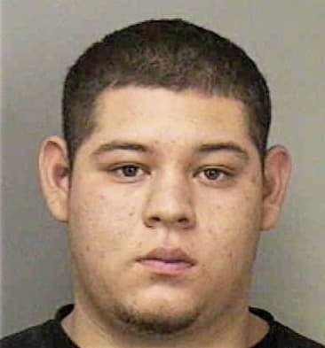 Alberto Mejia - Polk County, FL 