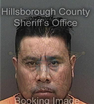 Michael Nuckolls, - Hillsborough County, FL 