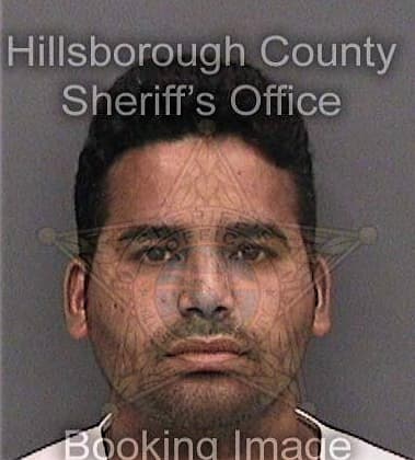 Dennis Olivero, - Hillsborough County, FL 