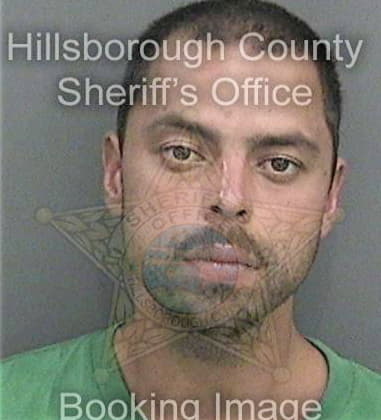 Aaron Pegg, - Hillsborough County, FL 