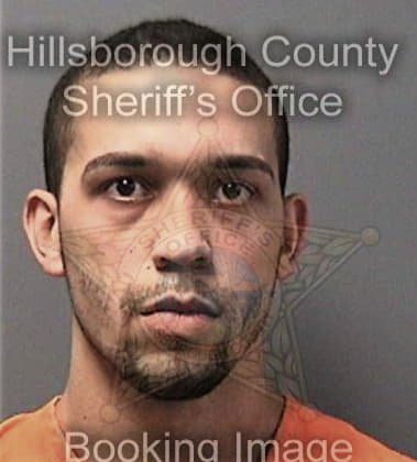 Christian Perezseda, - Hillsborough County, FL 