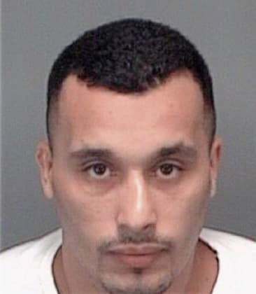 Fernando Altamirano, - Pinellas County, FL 