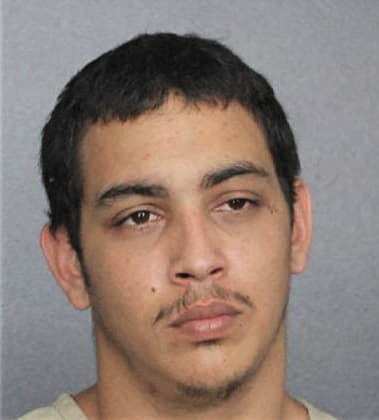 Wilmer Castellanosalmendare, - Broward County, FL 