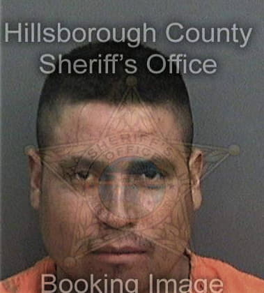 Paul Dauterive, - Hillsborough County, FL 