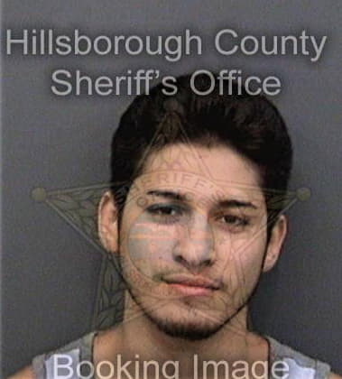 Victor Hortelanoalcantara, - Hillsborough County, FL 