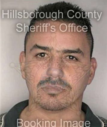 Jose Ramirezmacias, - Hillsborough County, FL 