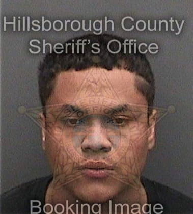 Andy Truong, - Hillsborough County, FL 