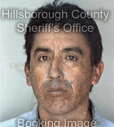 Erick Zenomartinez, - Hillsborough County, FL 