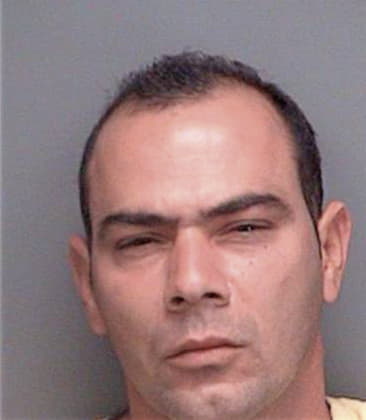 Roman Almanzapalomares, - Pinellas County, FL 