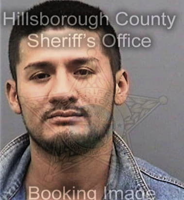 Daniel Beechner, - Hillsborough County, FL 