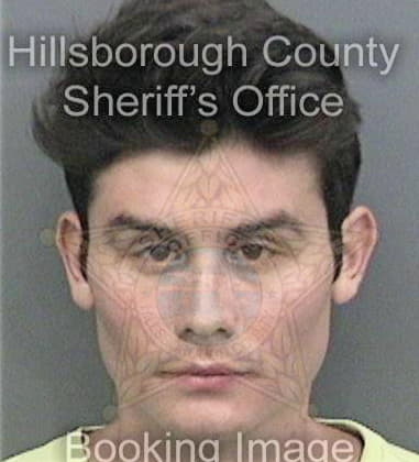 Leyver Deleongutierrez, - Hillsborough County, FL 