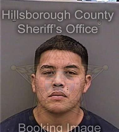 Joshua McGinnis - Hillsborough County, FL 