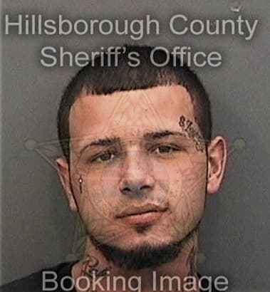 Daniel Meadors - Hillsborough County, FL 