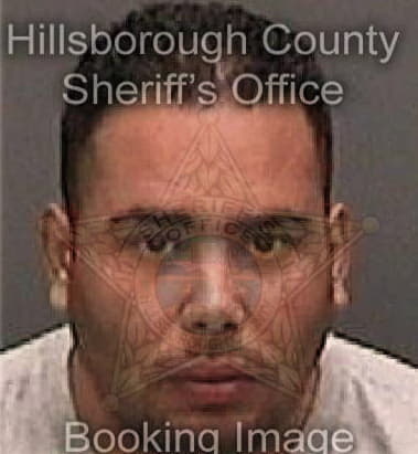 Shawn Perry, - Hillsborough County, FL 