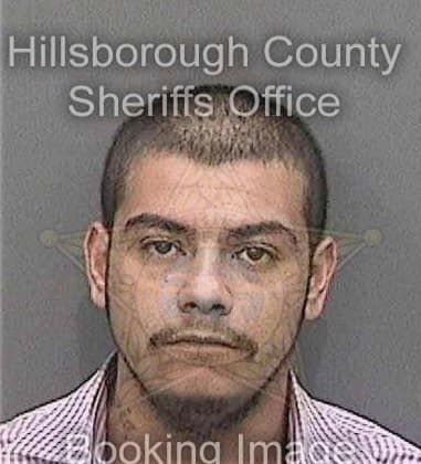 Charles Powell, - Hillsborough County, FL 