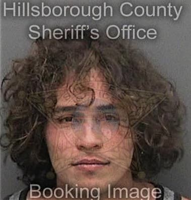 Shaun Sullivan, - Hillsborough County, FL 