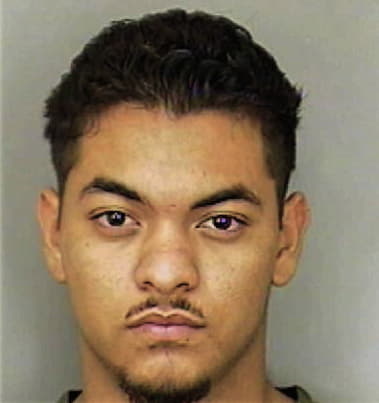 Alvin Torres, - Polk County, FL 