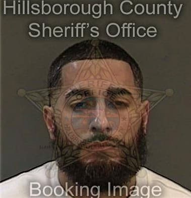 John Finley, - Hillsborough County, FL 