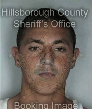 Saul Flores, - Hillsborough County, FL 