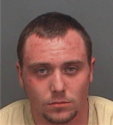 Daniel Milankov, - Pinellas County, FL 